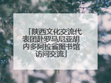 陕西文化交流代表团赴罗马尼亚胡内多阿拉省图书馆访问交流