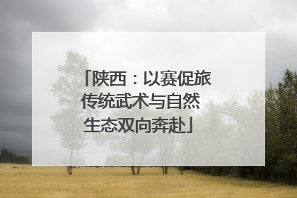 陕西：以赛促旅 传统武术与自然生态双向奔赴