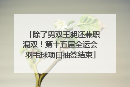 除了男双王昶还兼职混双！第十五届全运会羽毛球项目抽签结束