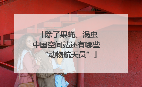 除了果蝇、涡虫 中国空间站还有哪些“动物航天员”