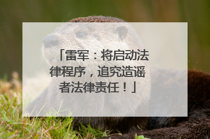 雷军：将启动法律程序，追究造谣者法律责任！