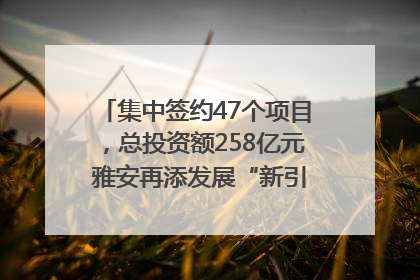 集中签约47个项目，总投资额258亿元 雅安再添发展“新引擎”｜数读西投