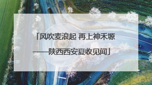风吹麦浪起 再上神禾塬——陕西西安夏收见闻