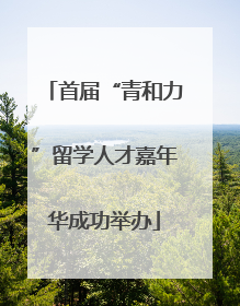 首届“青和力”留学人才嘉年华成功举办