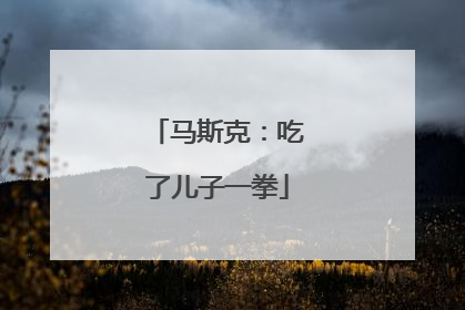 马斯克：吃了儿子一拳