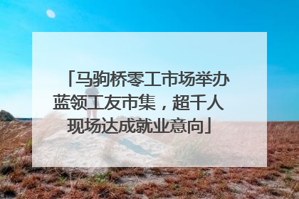 马驹桥零工市场举办蓝领工友市集，超千人现场达成就业意向