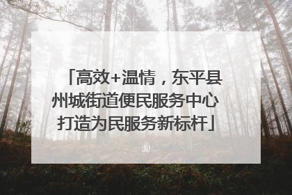 高效+温情，东平县州城街道便民服务中心打造为民服务新标杆