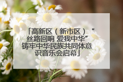 高新区（新市区）“丝路回响 爱我中华”铸牢中华民族共同体意识音乐会启幕