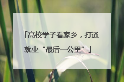 高校学子看家乡，打通就业“最后一公里”