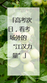 高考次日，看考场外的 “江汉力量”