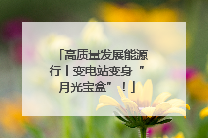 高质量发展能源行丨变电站变身“月光宝盒”！