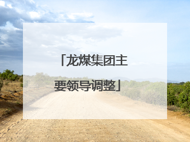 龙煤集团主要领导调整