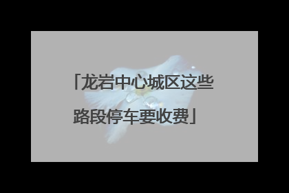 龙岩中心城区这些路段停车要收费