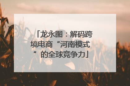 龙永图：解码跨境电商“河南模式”的全球竞争力