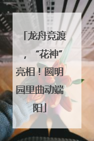 龙舟竞渡，“花神”亮相！圆明园里曲动端阳