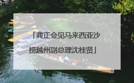 龚正会见马来西亚沙捞越州副总理沈桂贤