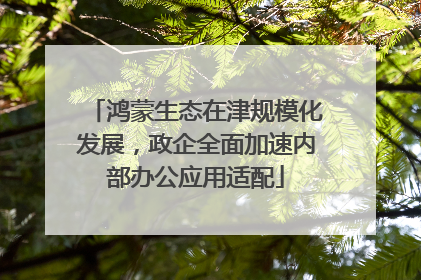 鸿蒙生态在津规模化发展，政企全面加速内部办公应用适配