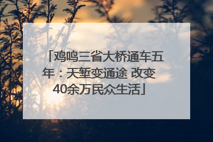 鸡鸣三省大桥通车五年：天堑变通途 改变40余万民众生活
