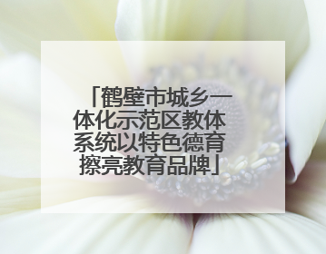 鹤壁市城乡一体化示范区教体系统以特色德育擦亮教育品牌