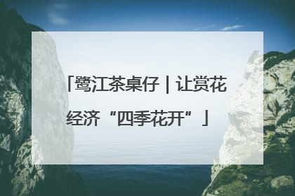 鹭江茶桌仔｜让赏花经济“四季花开”