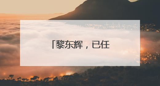 黎东辉，已任湖北省领导