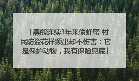 黑熊连续3年来偷蜂蜜 村民防盗花样频出却不伤害：它是保护动物，我有保险兜底