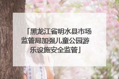 黑龙江省明水县市场监管局加强儿童公园游乐设施安全监管