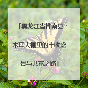 黑龙江省桦南县：木耳大棚里的丰收盛景与共富之路