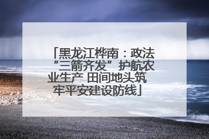 黑龙江桦南：政法“三箭齐发”护航农业生产 田间地头筑牢平安建设防线