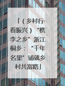 （乡村行·看振兴）“槜李之乡”浙江桐乡：“千年名果”铺就乡村共富路