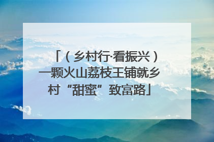 （乡村行·看振兴）一颗火山荔枝王铺就乡村“甜蜜”致富路
