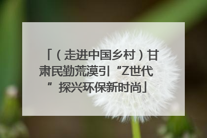 （走进中国乡村）甘肃民勤荒漠引“Z世代”探兴环保新时尚
