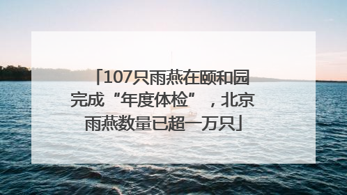 107只雨燕在颐和园完成“年度体检”，北京雨燕数量已超一万只