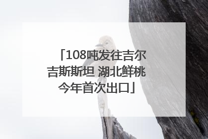 108吨发往吉尔吉斯斯坦 湖北鲜桃今年首次出口