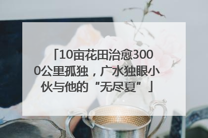 10亩花田治愈3000公里孤独，广水独眼小伙与他的“无尽夏”