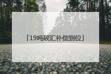 19吨碳汇补偿到位