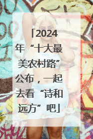 2024年“十大最美农村路”公布，一起去看“诗和远方”吧