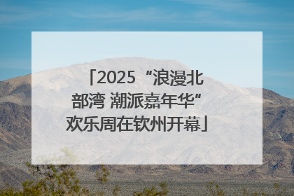 2025“浪漫北部湾 潮派嘉年华”欢乐周在钦州开幕