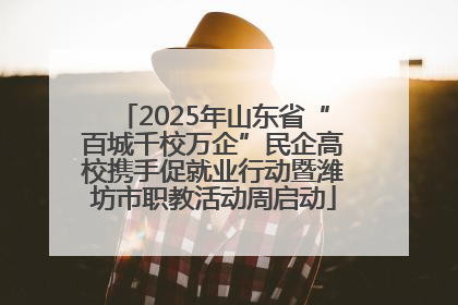 2025年山东省“百城千校万企”民企高校携手促就业行动暨潍坊市职教活动周启动
