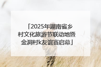 2025年湖南省乡村文化旅游节联动地暨金洞村k友谊赛启幕