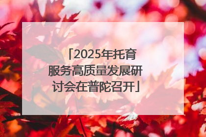 2025年托育服务高质量发展研讨会在普陀召开