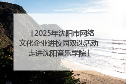 2025年沈阳市网络文化企业进校园双选活动走进沈阳音乐学院