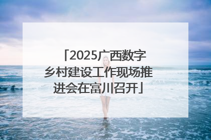 2025广西数字乡村建设工作现场推进会在富川召开