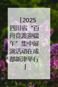 2025四川省“百舟竞渡迎端午”集中展演活动在成都新津举行