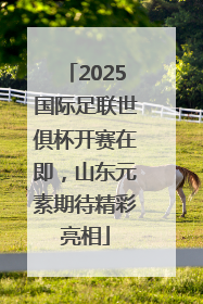 2025国际足联世俱杯开赛在即，山东元素期待精彩亮相