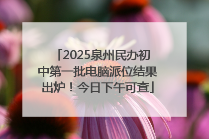 2025泉州民办初中第一批电脑派位结果出炉！今日下午可查
