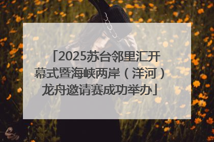 2025苏台邻里汇开幕式暨海峡两岸（洋河）龙舟邀请赛成功举办