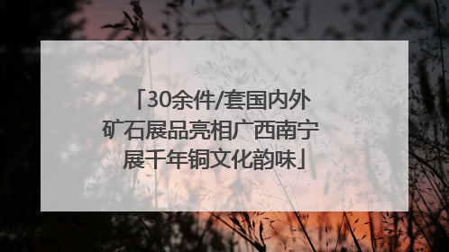 30余件/套国内外矿石展品亮相广西南宁 展千年铜文化韵味
