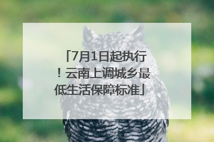 7月1日起执行！云南上调城乡最低生活保障标准