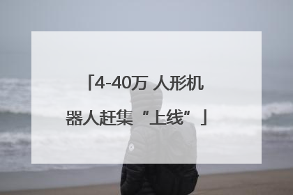 4-40万 人形机器人赶集“上线”